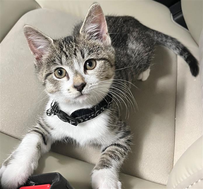 He's getting so big! He's getting so big!